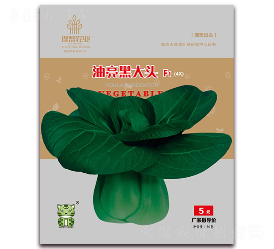 油亮黑大頭-青梗菜種子-理想農(nóng)業(yè)