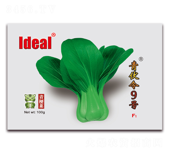 青伏令9號-青梗菜種子-理想農(nóng)業(yè)
