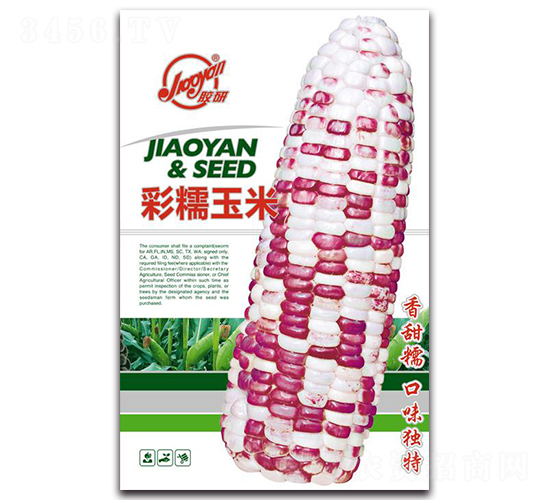 膠研彩糯玉米-糯玉米種子-膠研