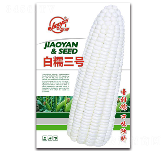 膠研白糯三號-糯玉米種子-膠研