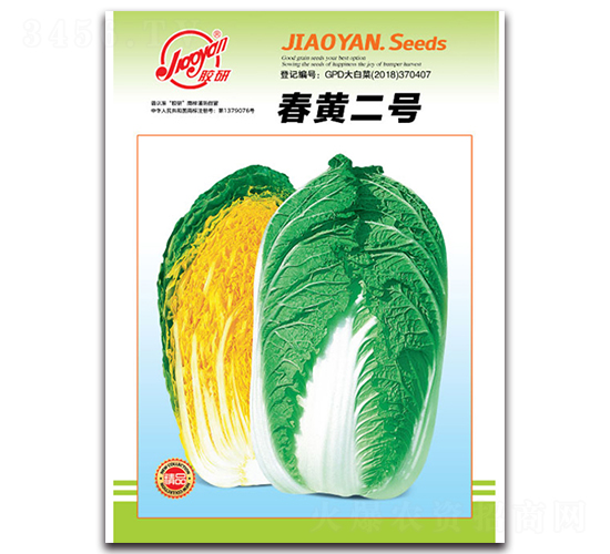 春黃二號-春播白菜種子-膠研