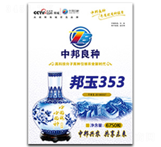 邦玉353-玉米種子-中邦農(nóng)業(yè)