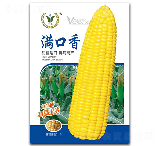 滿(mǎn)口香-糯玉米種子-昊晟種業(yè)