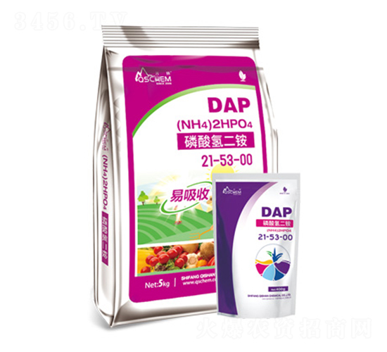 磷酸氫二銨21-53-00-岐山化工