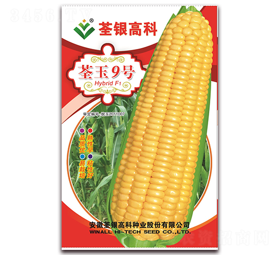 荃玉9號-糯玉米種子-荃銀瓜菜
