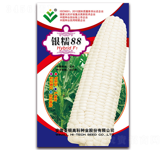 銀糯88-糯玉米種子-荃銀瓜菜