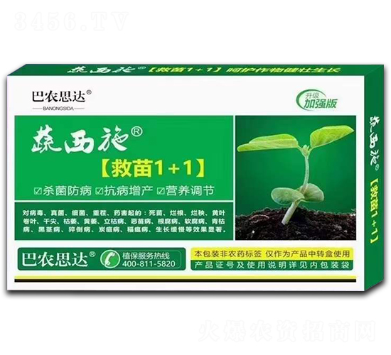 救苗1+1-蔬西施-巴農(nóng)思達(dá)