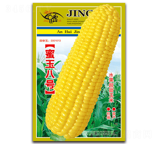 蜜玉八號(hào)-甜玉米種子-京密種業(yè)