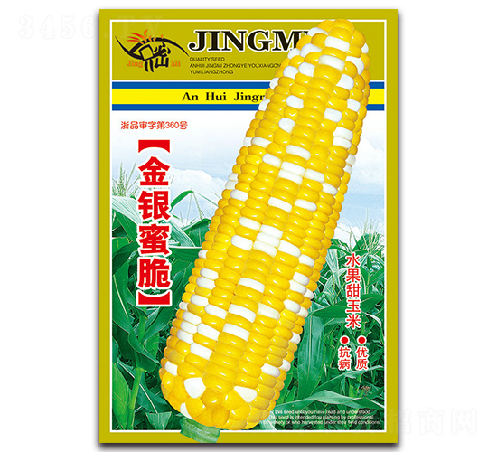 金銀蜜脆-甜玉米種子-京密種業(yè)