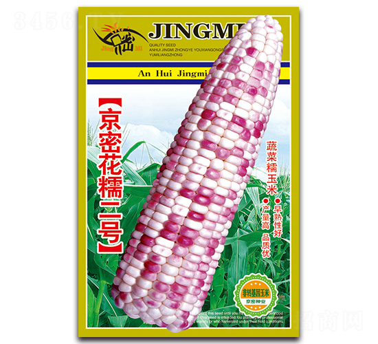 京密花糯二號-糯玉米種子-京密種業(yè)