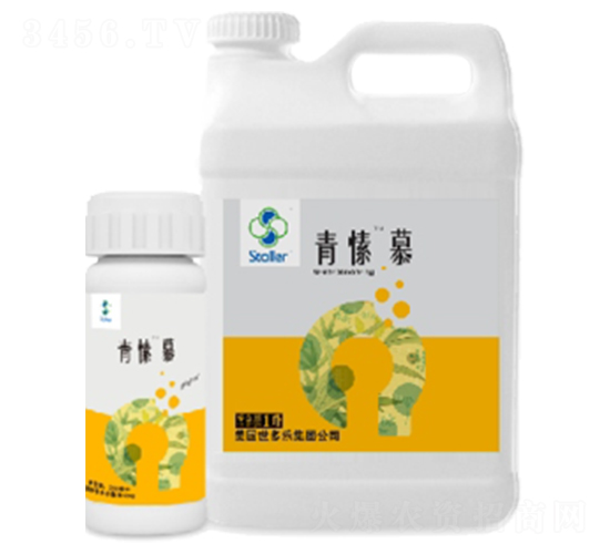 青愫慕-世多樂(lè)