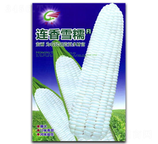 連香雪糯-糯玉米種子-宏雨