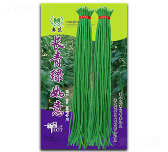 長(zhǎng)青緑如意-豇豆種子-宏雨