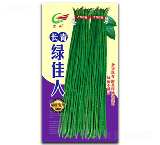 長青綠佳人-豇豆種子-宏雨
