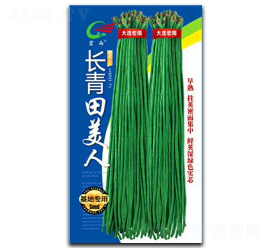 長青田美人-豇豆種子-宏雨