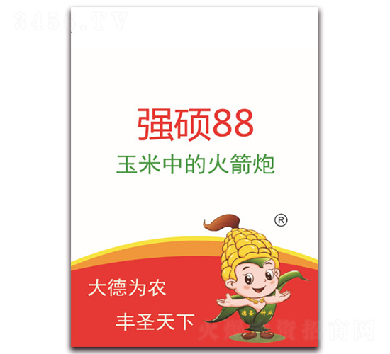 強碩88-玉米種子-德圣種業(yè)
