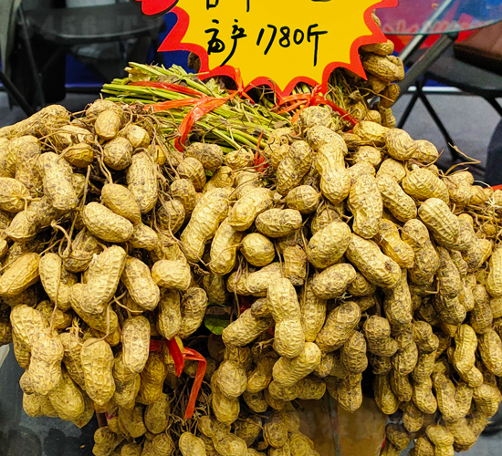 香?；?號(hào)花生種子