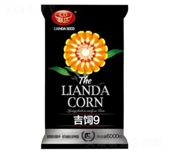 吉飼9-玉米種子-聯(lián)達(dá)種業(yè)