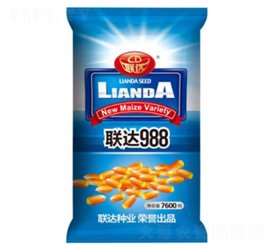 聯達988-玉米種子-聯達種業(yè)