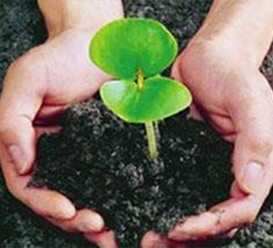 瓜果有機(jī)肥-蒙厚