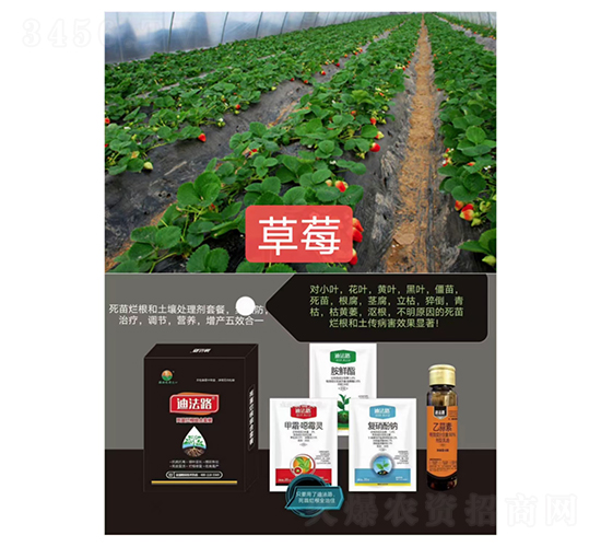 死苗爛根組合套餐（草莓專用）-迪法路-糧滿噸