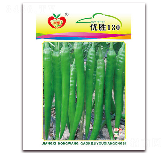 優(yōu)勝130-線椒種子-農望