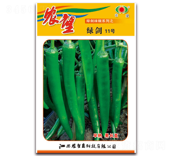 綠劍11號-尖椒種子-農(nóng)望