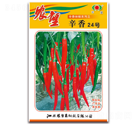 辛香24號(hào)-尖椒種子-農(nóng)望