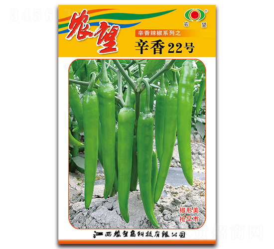 辛香22號(hào)-尖椒種子-農(nóng)望