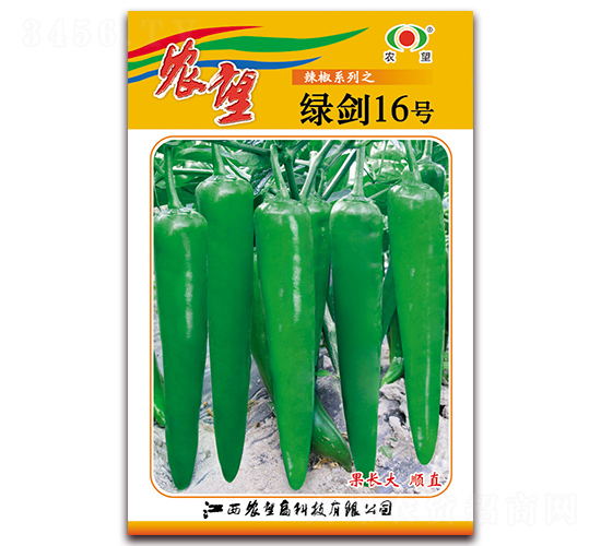 綠劍16號(hào)-尖椒種子-農(nóng)望