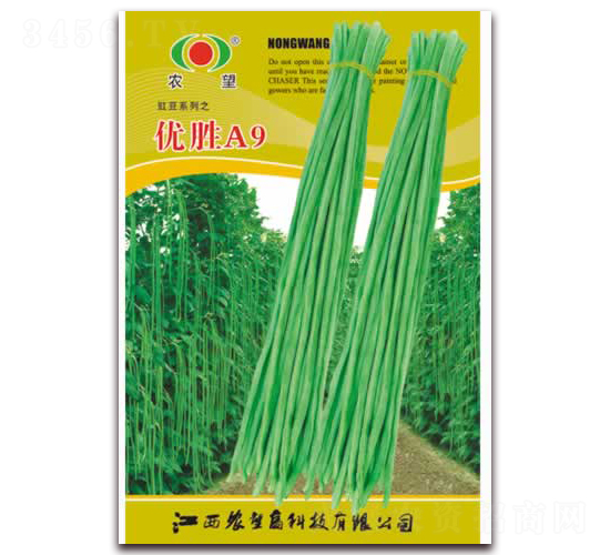 優(yōu)勝A9-豇豆種子-農(nóng)望