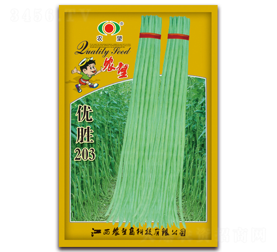 優(yōu)勝203-豇豆種子-農(nóng)望