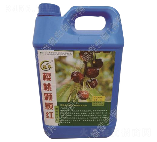 櫻桃專(zhuān)用液體肥-櫻桃顆顆紅-寶世博