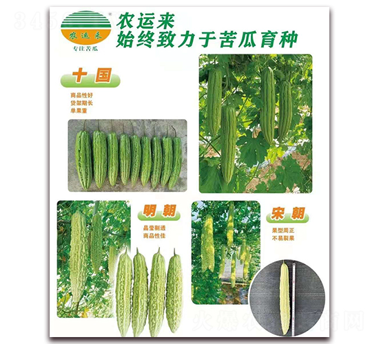 十國(guó)+明朝+宋朝-苦瓜種子-農(nóng)運(yùn)來