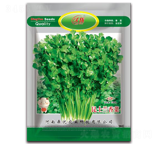 昆士蘭香菜-香菜種子-鼎優(yōu)農(nóng)業(yè)