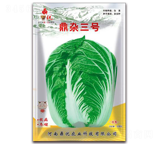 鼎雜三號-葉菜種子-鼎優(yōu)農(nóng)業(yè)