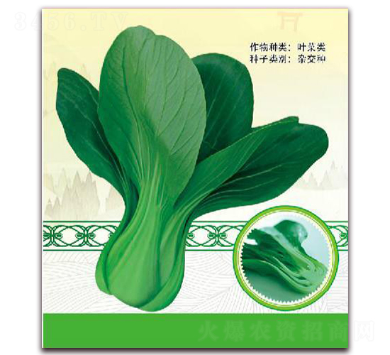 熱綠二號-葉菜種子-鼎優(yōu)農(nóng)業(yè)