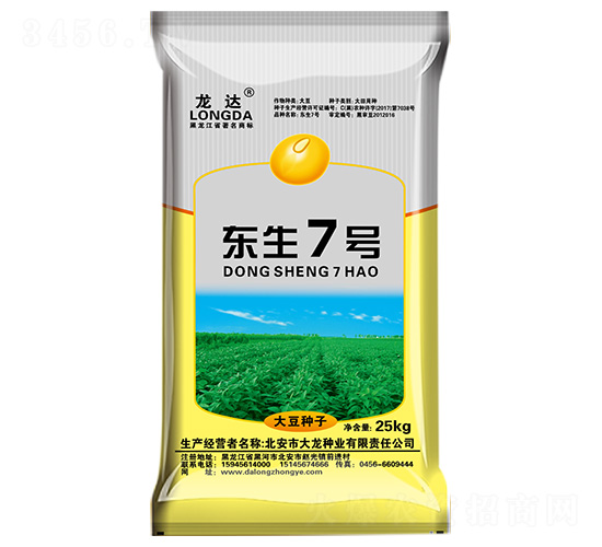 東生7號-龍達-大龍種業(yè)