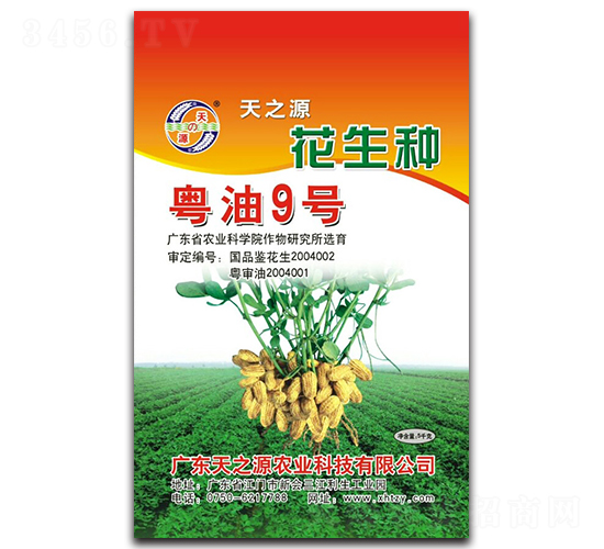 粵油9號(hào)-花生種子-天之源