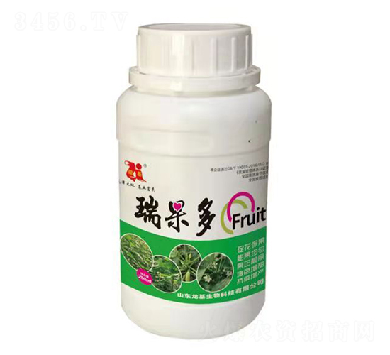 瑞果多-龍基