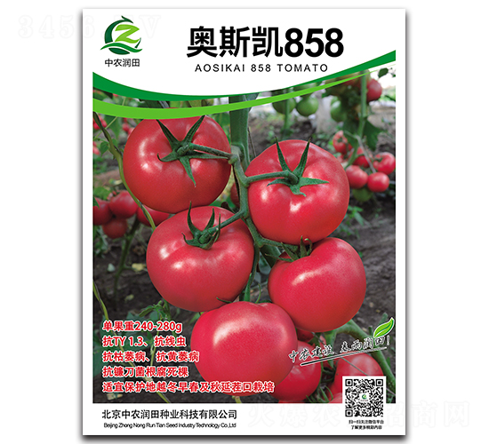 奧斯凱858-番茄種子-中農(nóng)潤(rùn)田