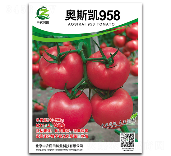 奧斯凱958-番茄種子-中農(nóng)潤田