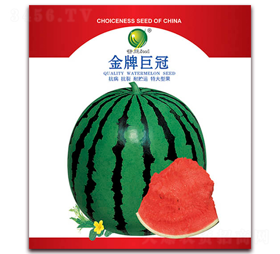 金牌巨冠-西瓜種子-雷玉種業(yè)