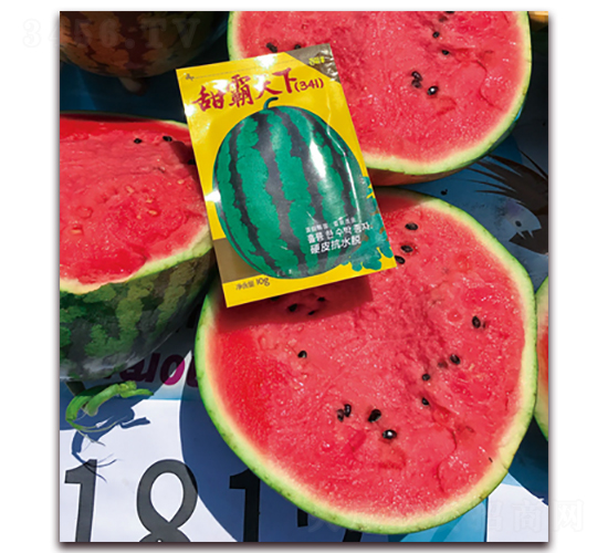 甜霸天下-西瓜種子-百聚豐