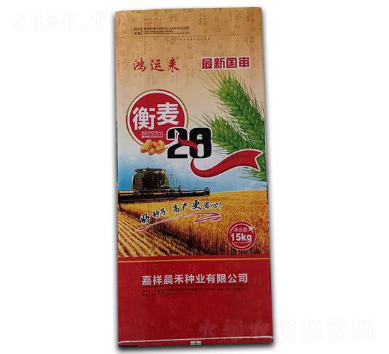 衡麥28-小麥種子-晨禾種業(yè)