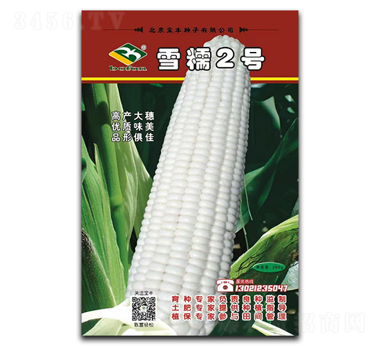 雪糯2號(hào)-糯玉米種子-寶豐