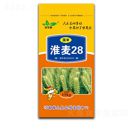 國(guó)審淮麥28（小麥種子）-民樂意-鼎冠種業(yè)
