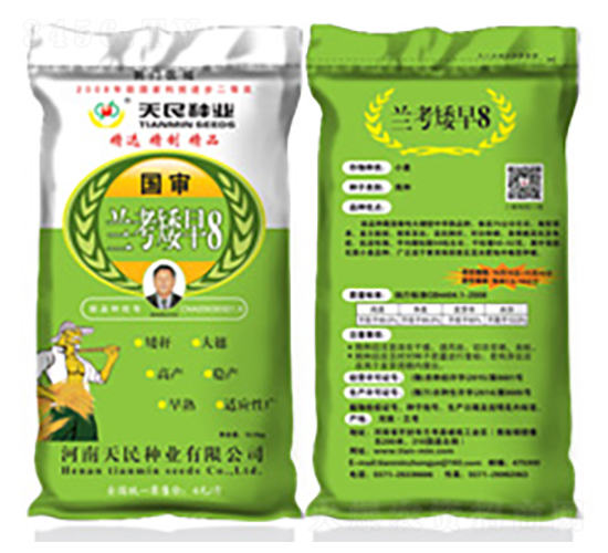 國(guó)審蘭考矮早8（荊門區(qū)域綠袋）-小麥種子-天民種業(yè)