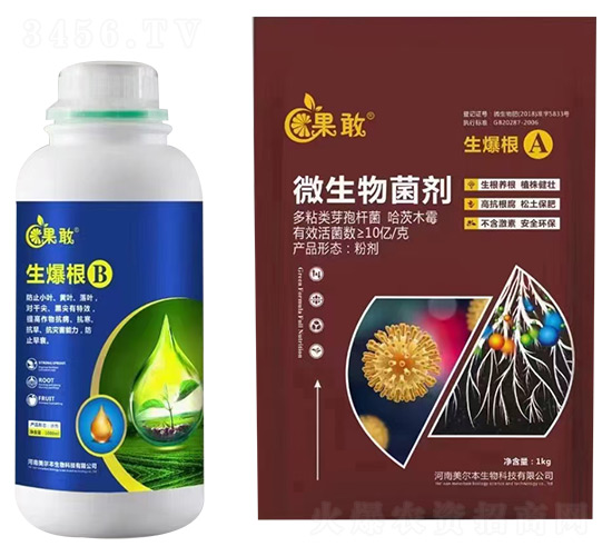 生爆根A+B-果敢-美爾本生物