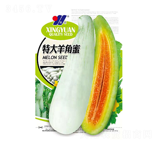 特大羊角蜜甜瓜種子-邢源農(nóng)業(yè)